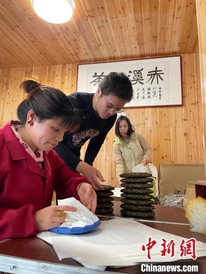 資料圖：杜贏(左二)在整理白茶餅?！×执阂?攝